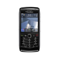 Blackberry Pearl 3G 9105 (PRD-30950-006)